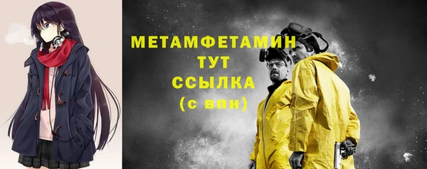 гидра Инта