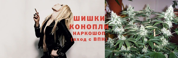 дмт Каменка