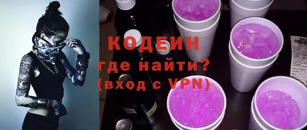 гидра Инта
