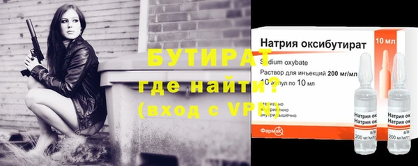 гидра Инта