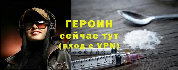 гидра Инта