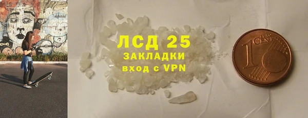 гидра Инта