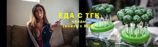 гидра Инта