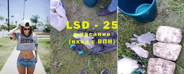 гидра Инта