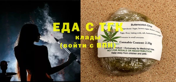 гидра Инта