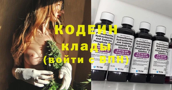 гидра Инта