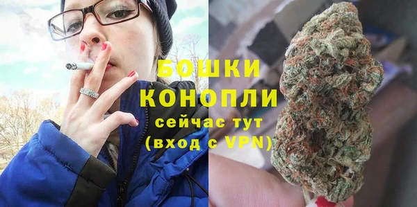 гидра Инта
