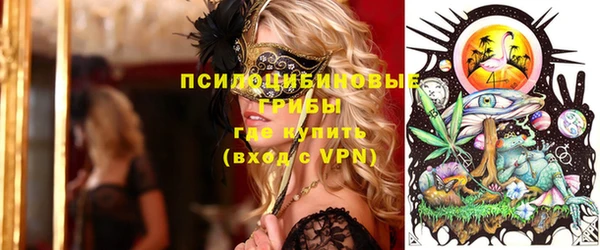 метадон Инсар