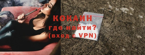 гидра Инта