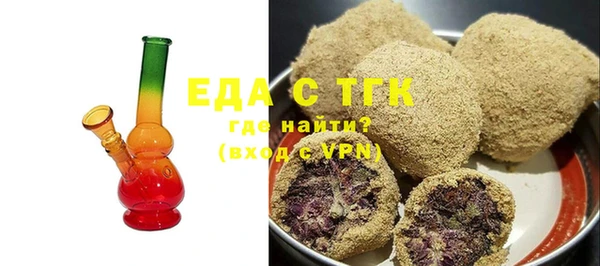 гидра Инта